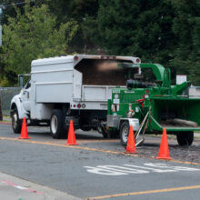 Phoenix Arbory - Western Washington Trusted Tree Service Experts 9 7537556444 ac3411e5da z